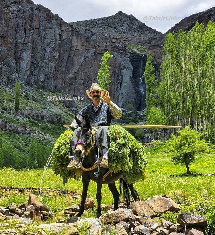 هرگلان