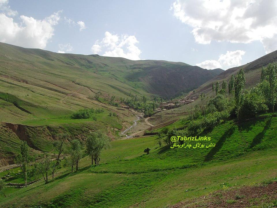 چاراویماق