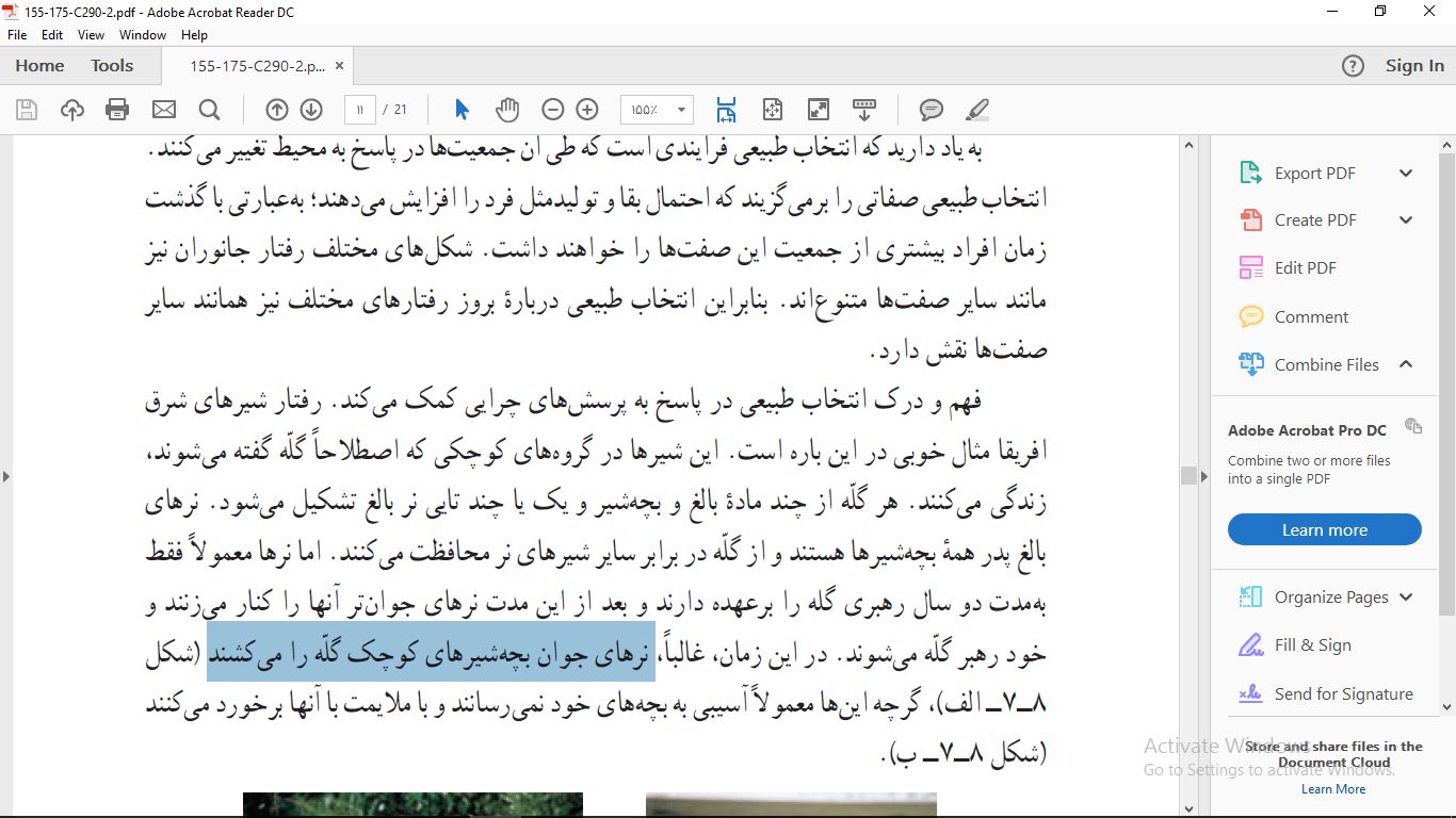 IMAGE(http://s9.picofile.com/file/8324292050/876786Capture.JPG)