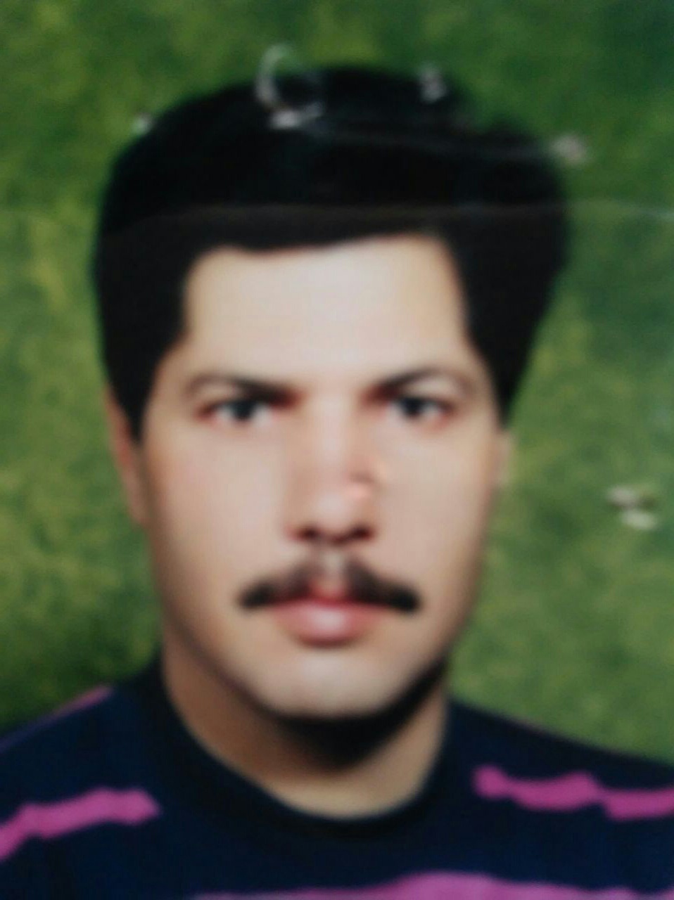 مجید شفق