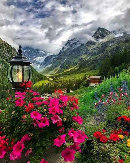 http://s9.picofile.com/file/8325333376/bnesh_ir.jpg
