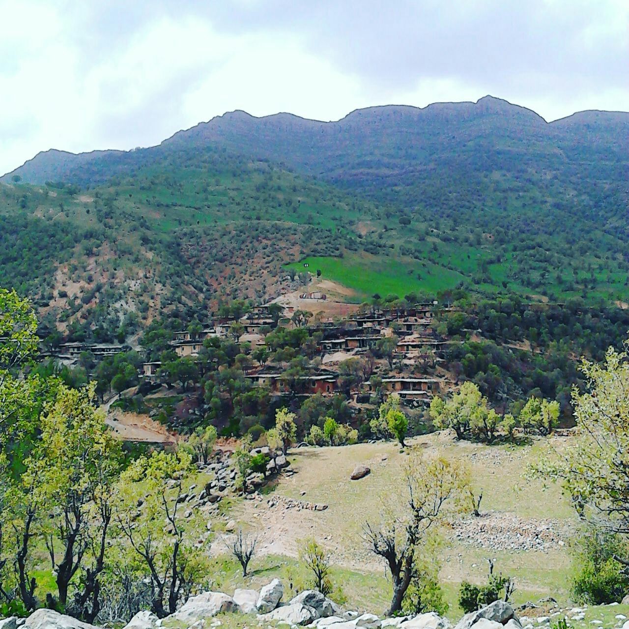 روستای شیخان (شیخو داوت خینی)