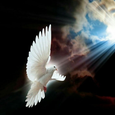 نکولعل آزاد