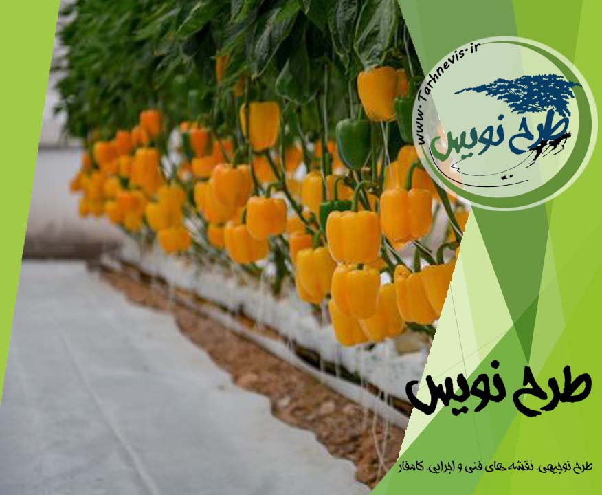 طرح توجیهی