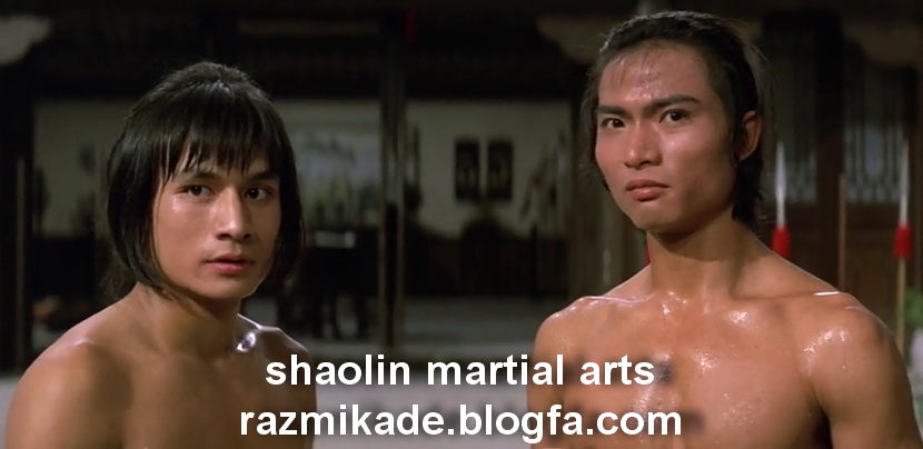 Shaolin_Martial_Arts_1974