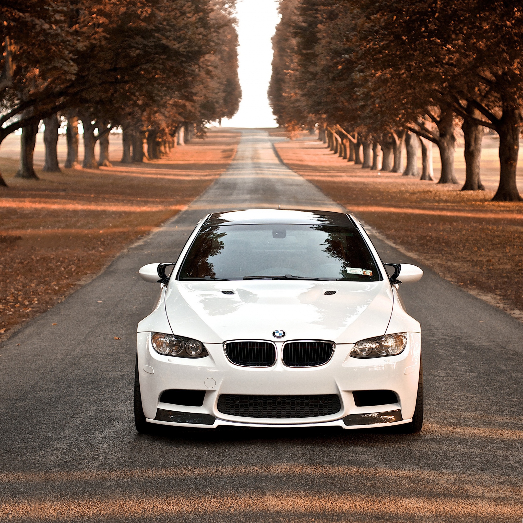 bmw_m3_fall_wallpaper