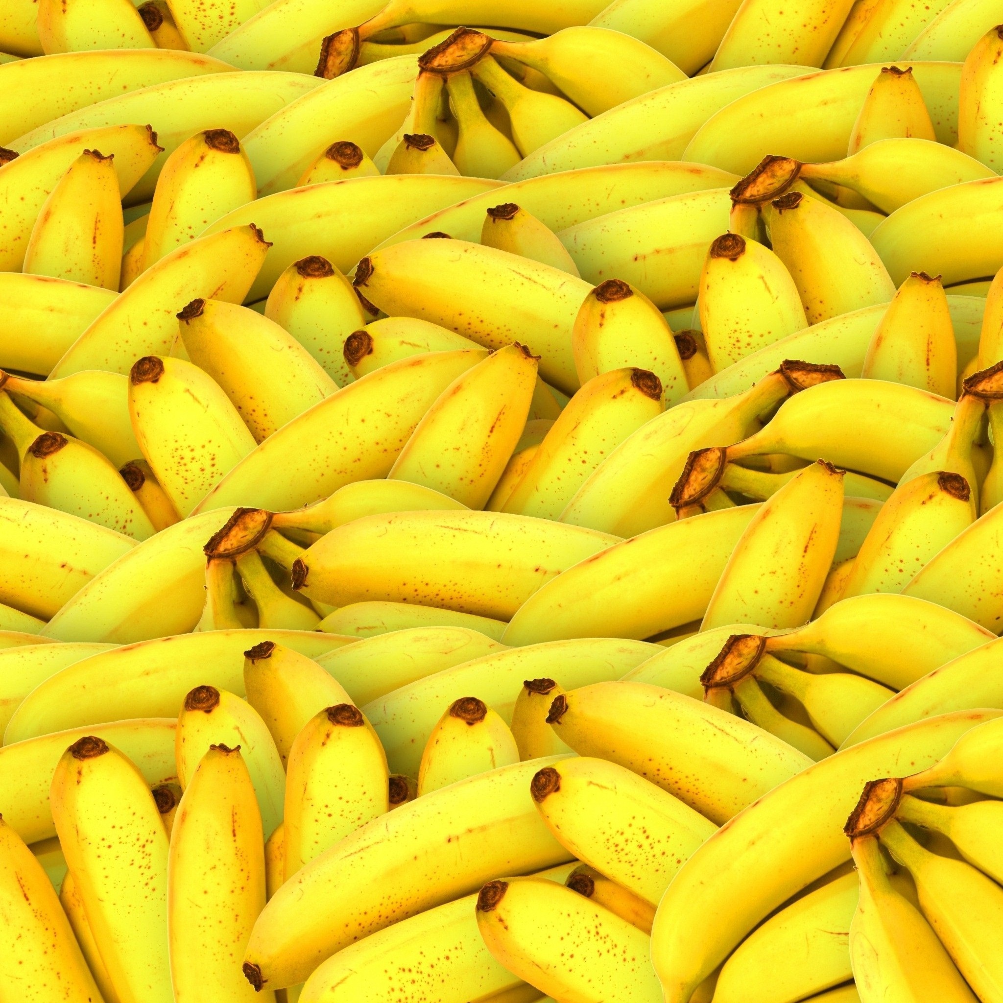 bananas_2_wallpaper