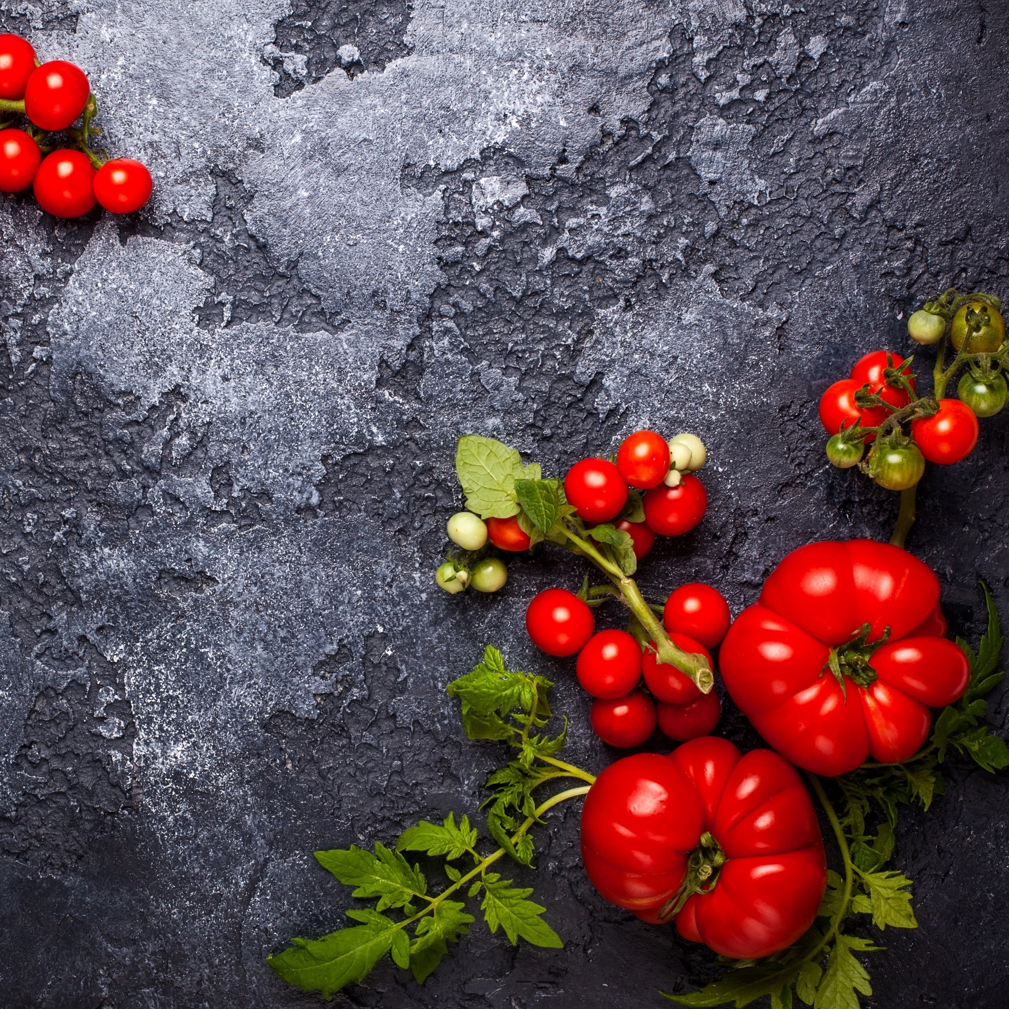 fresh_red_tomatoes_wallpaper