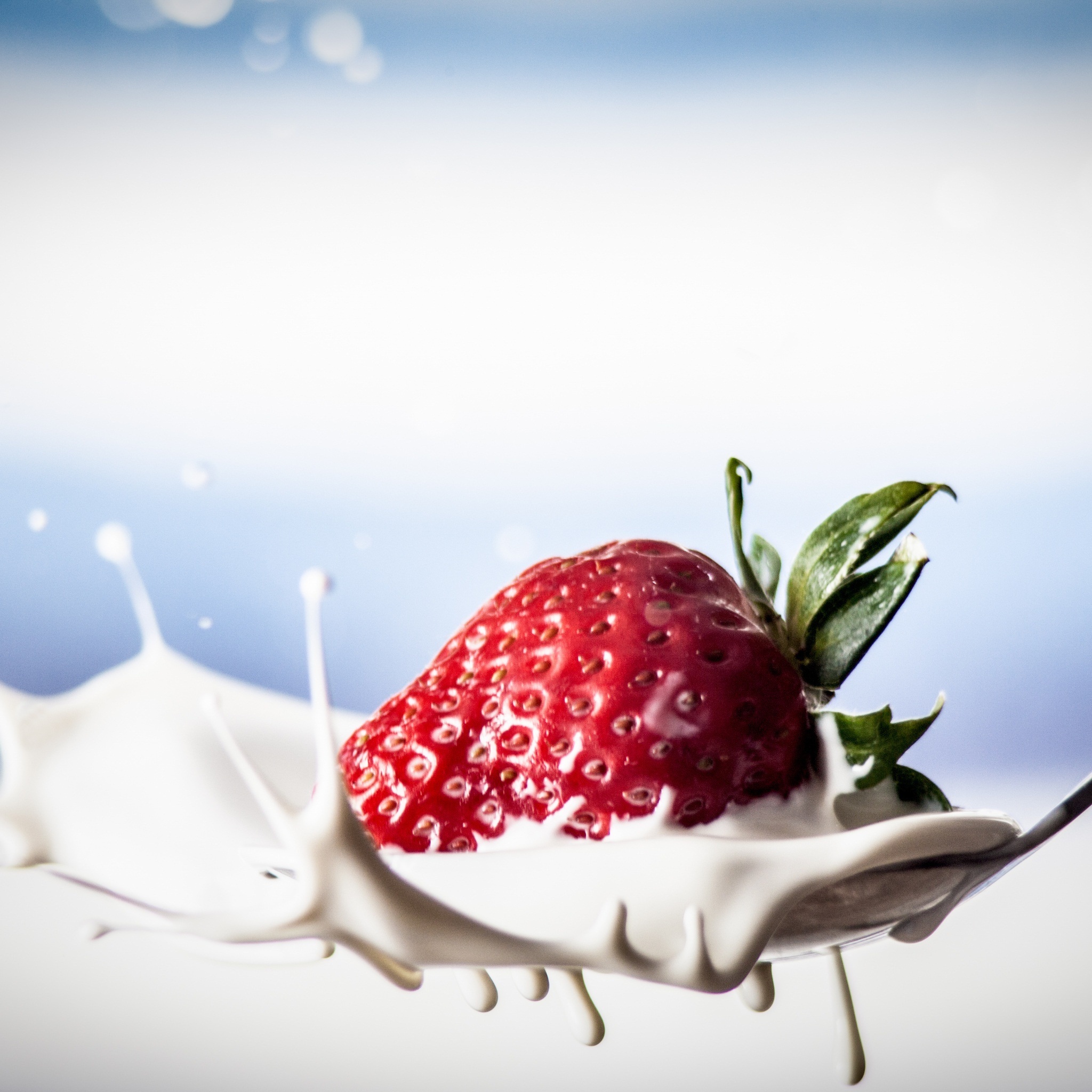 strawberry_splash_2_wallpaper