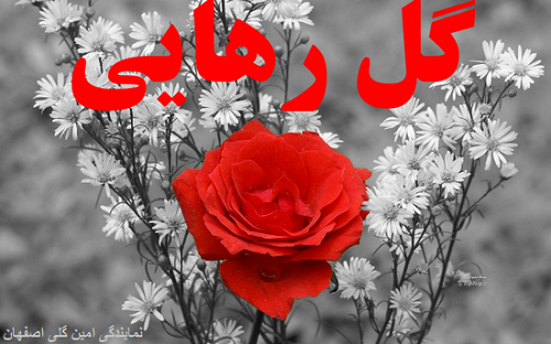 http://s9.picofile.com/file/8330383684/i8dl6tuh8e78vsx1ghkp.png