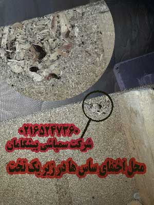 محل زندگی ساس