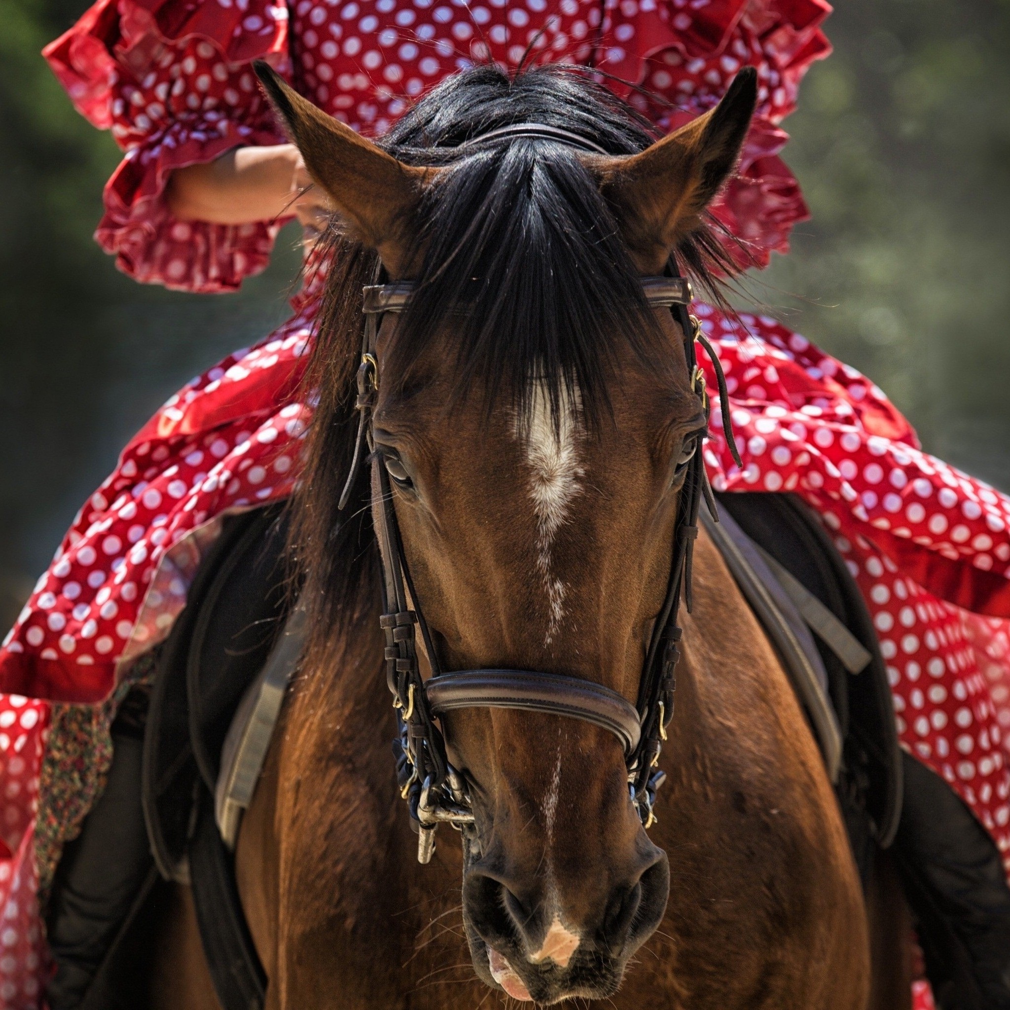 woman_in_red_dress_riding_a_horse_wallpaper