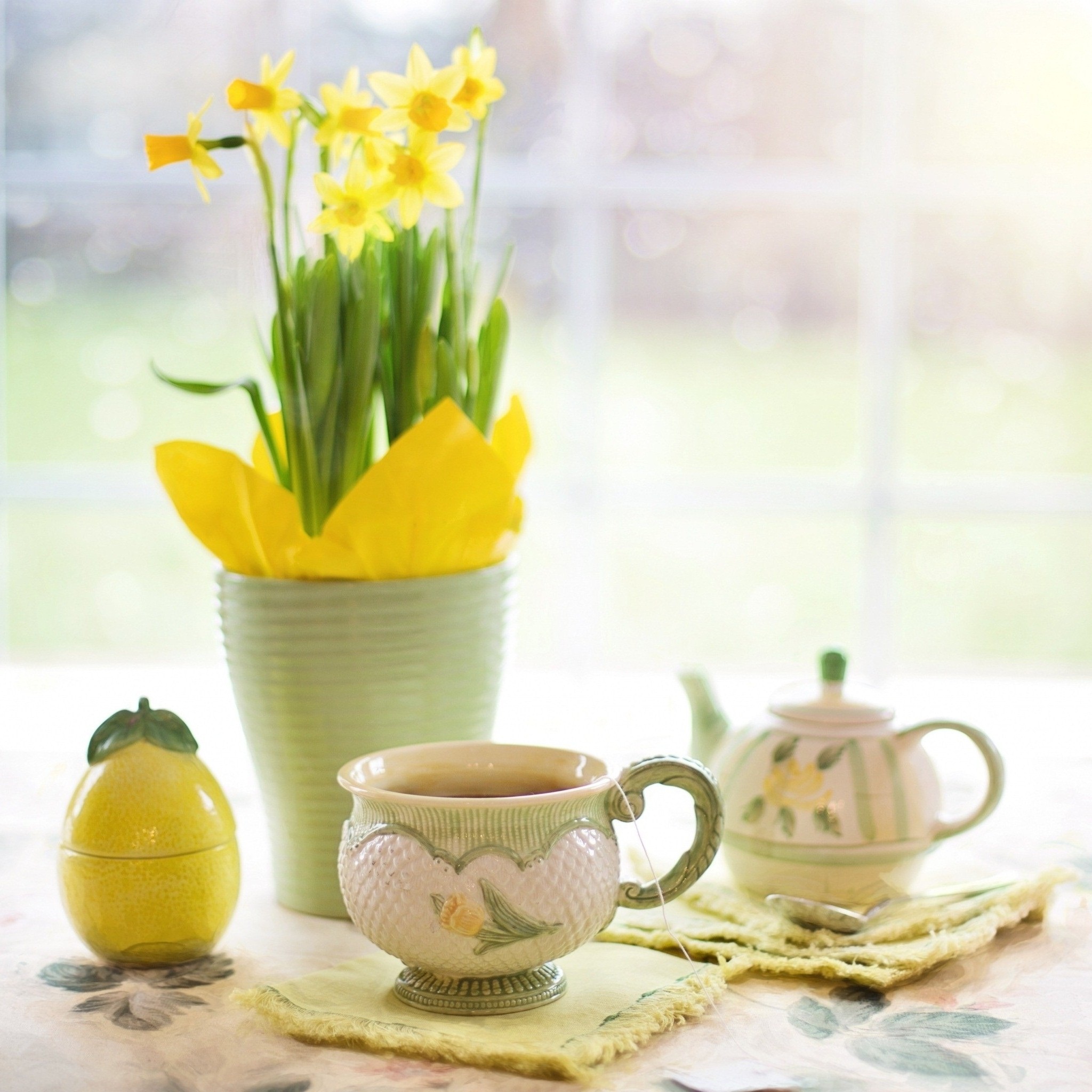 cup_of_tea_daffodils_flowers_spring_wallpaper