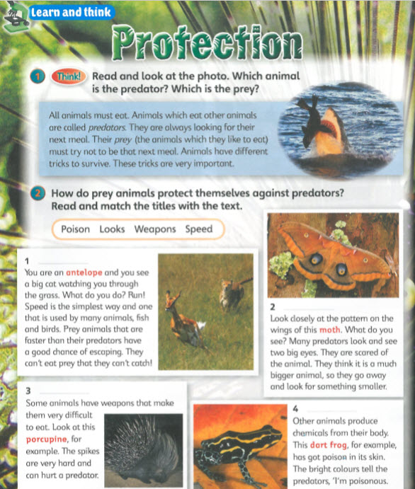 Super Minds 4 Page 78