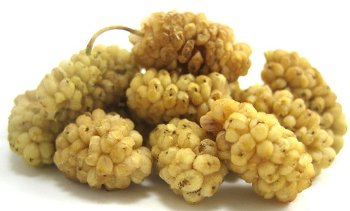 توت خشک Dried berries  یک کیلو