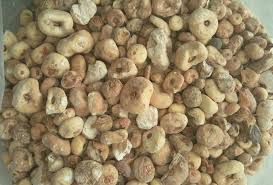 یک سیر نخود الوند Almond pea