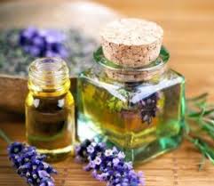  روغن اسطوخودوسروغن اسطوخودوس به انگلیسیروغن اسطوخودوس برای پوستروغن اسطوخودوس برای موروغن اسطوخودوس اصلروغن اسطوخودوس ویکی پدیاروغن اسطوخودوس برای جای جوشروغن اسطوخودوس برای نوزاد 