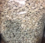 شکر تیغال Sugar Tiger  یک سیر