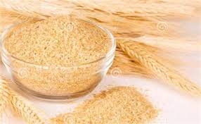 پودر جوانه گندمپودر جوانه گندم برای لاغریپودر جوانه گندم با شیرپودر جوانه گندم برای چاقی صورتپودر جوانه گندم به انگلیسیپودر جوانه گندم برای چاقی کودکانپودر جوانه گندم برای کودکانپودر جوانه گندم رویال