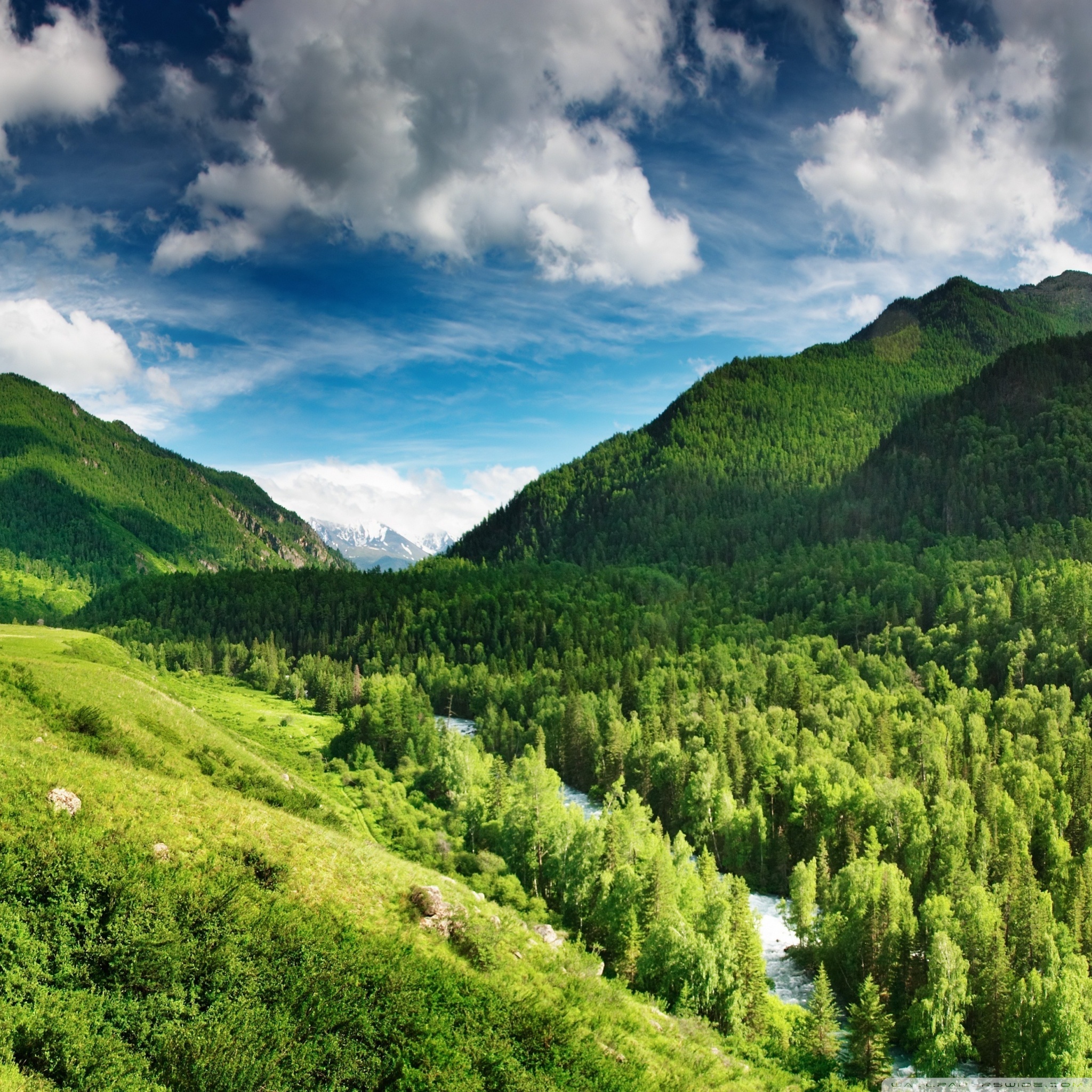 green_highlands_wallpaper