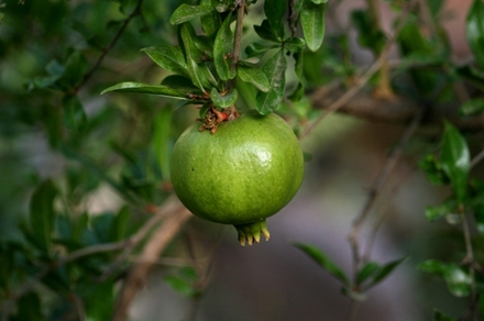 http://s9.picofile.com/file/8336478100/81198754242162395713510236671681103192.jpg