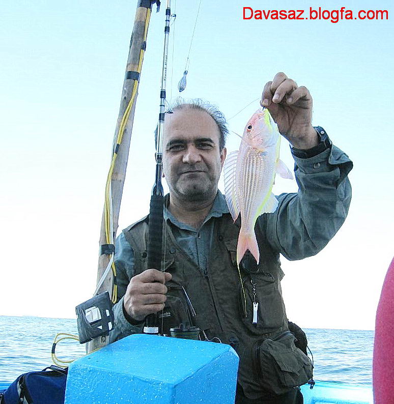 ماهیگیری در عسلویه ماهیگیری در عسلویه