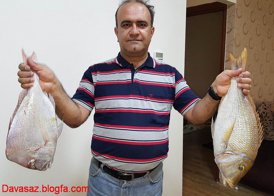 نتیجه ماهیگیری در کیش نتیجه ماهیگیری در کیش