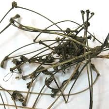  دم کرده ی دم گیلاس مدر است به همين علت مصرف آن حجم ادرار را افزايش و مجاری ادراری را شست و شو مي دهد. دم گیلاس و خواص دم گیلاس
