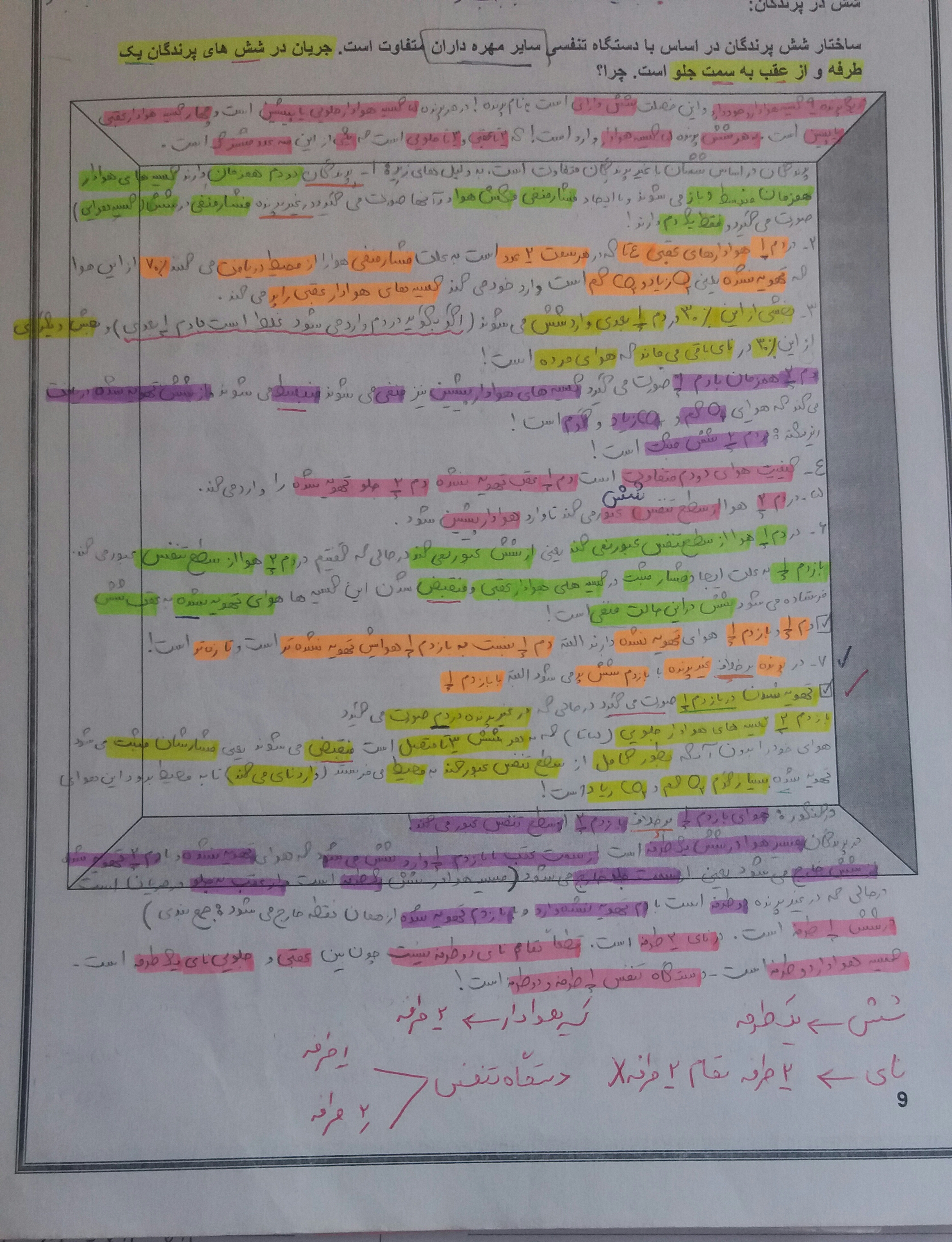 متن جایگزین