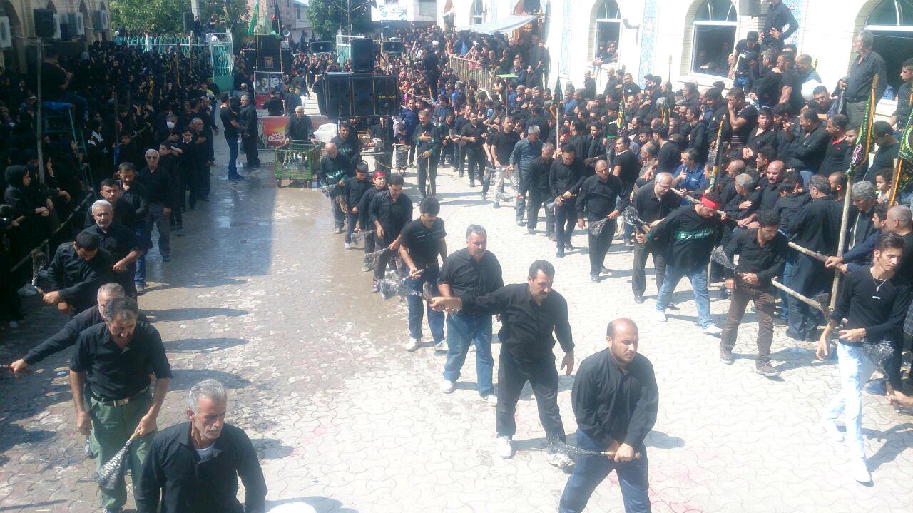 1_116_.jpg (1280×719)