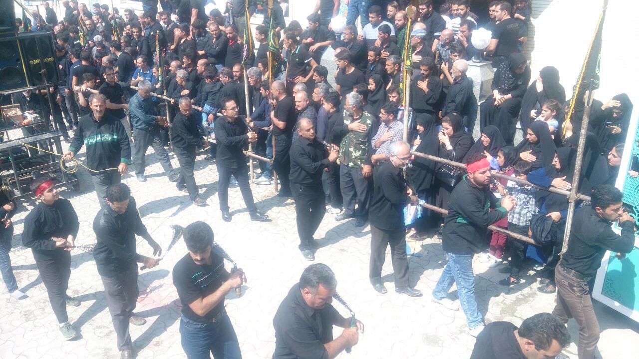 1_119_.jpg (1280×719)