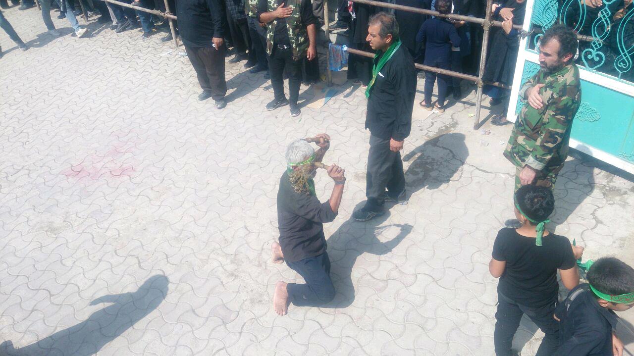 1_147_.jpg (1280×719)