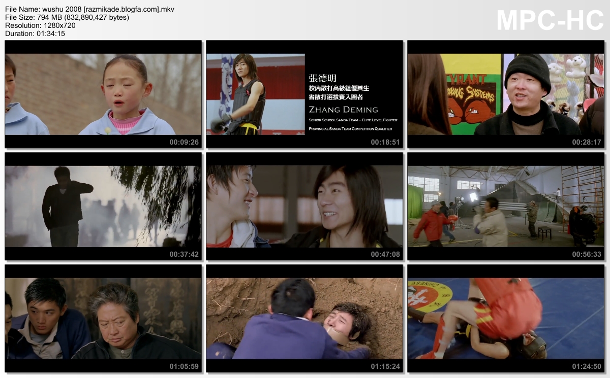 wushu_2008_screenshot ووشو