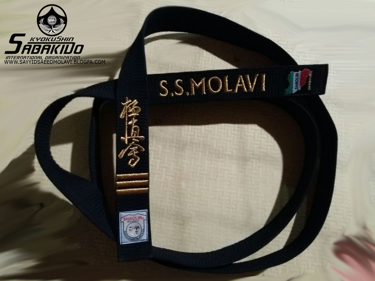 دان 3 جهانی کیوکوشین سنسی سید سعید مولوی دان 3 جهانی سنسی سید سعید مولوی