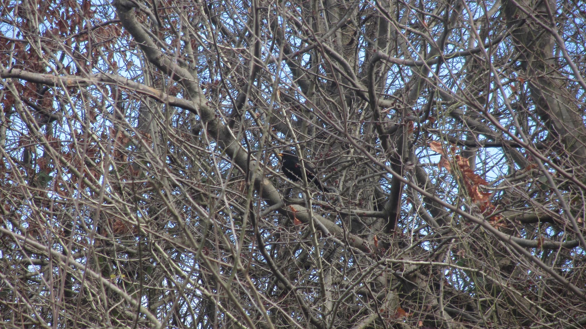 1_2_.jpg (2000×1124)