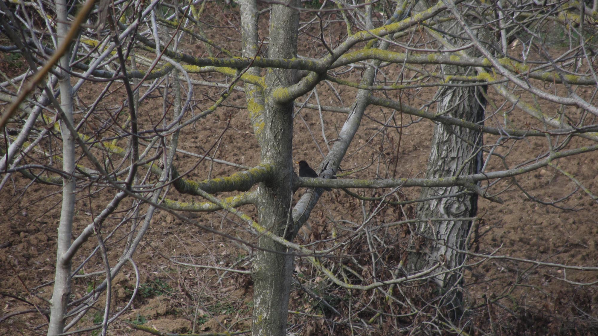 1_4_.jpg (2000×1124)