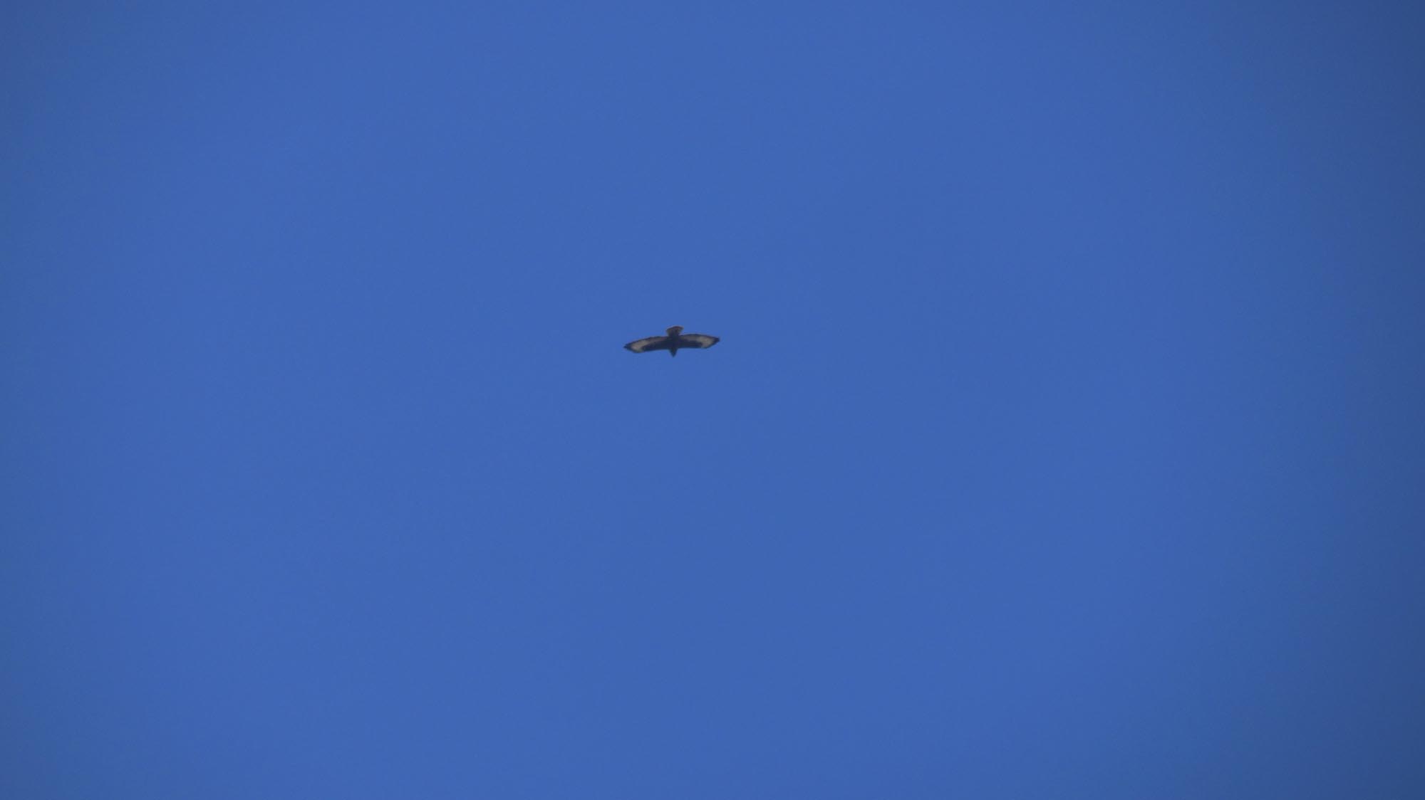 1_10_.jpg (2000×1124)