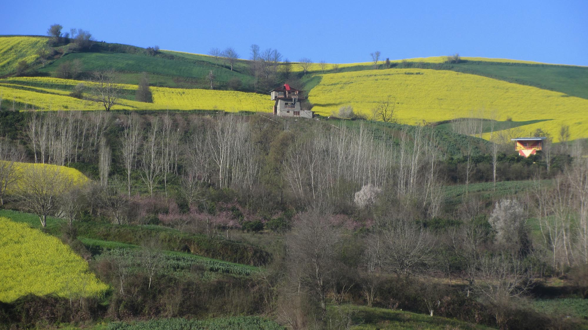 1_11_.jpg (2000×1124)