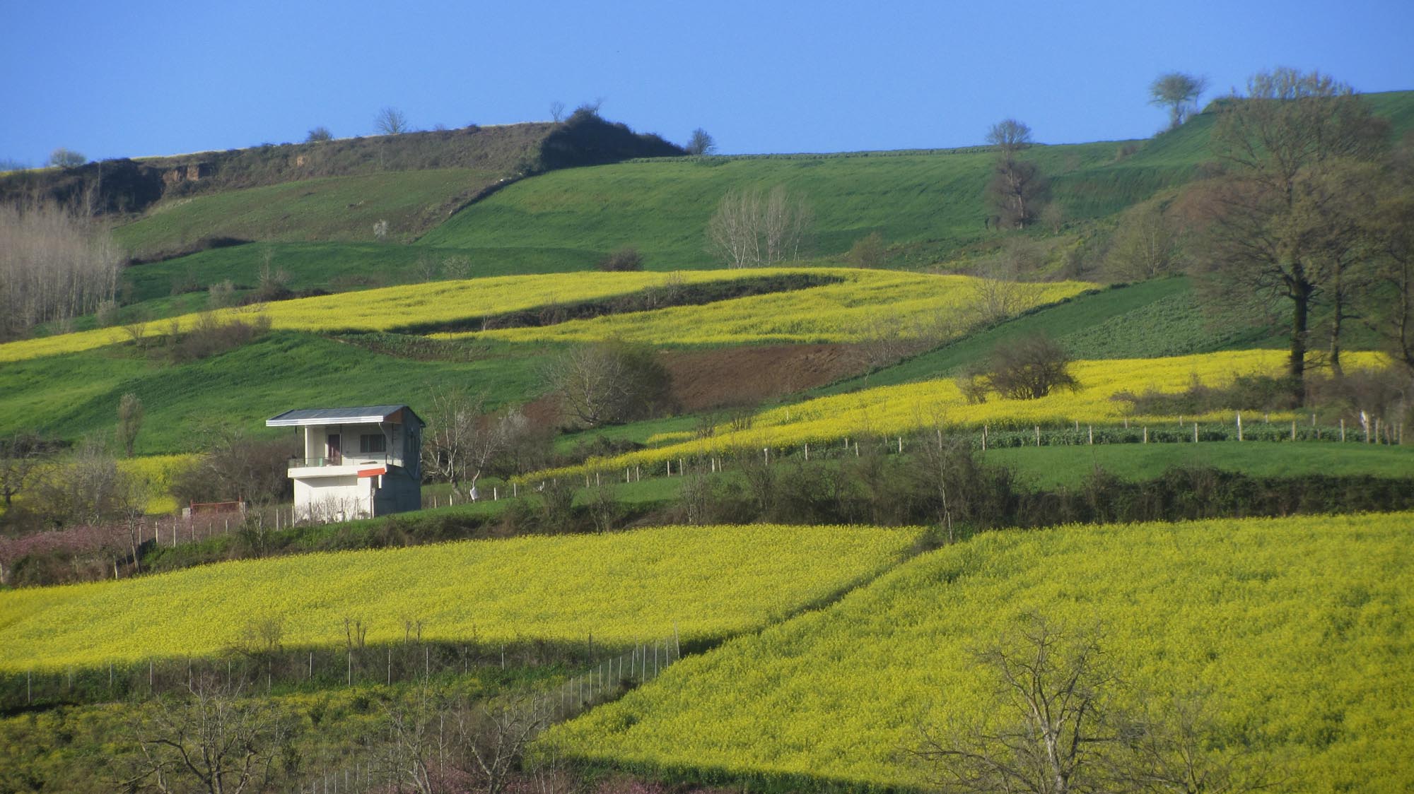 1_13_.jpg (2000×1124)