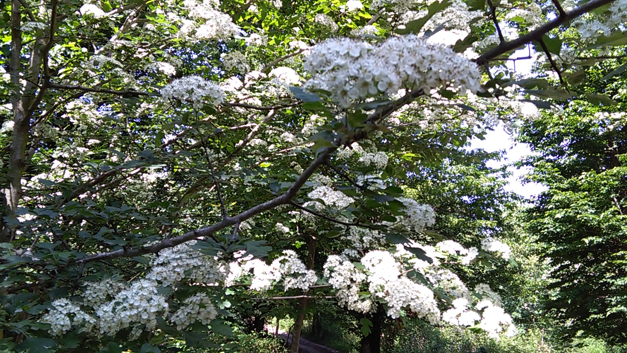 1_3_.jpg (1280×720)