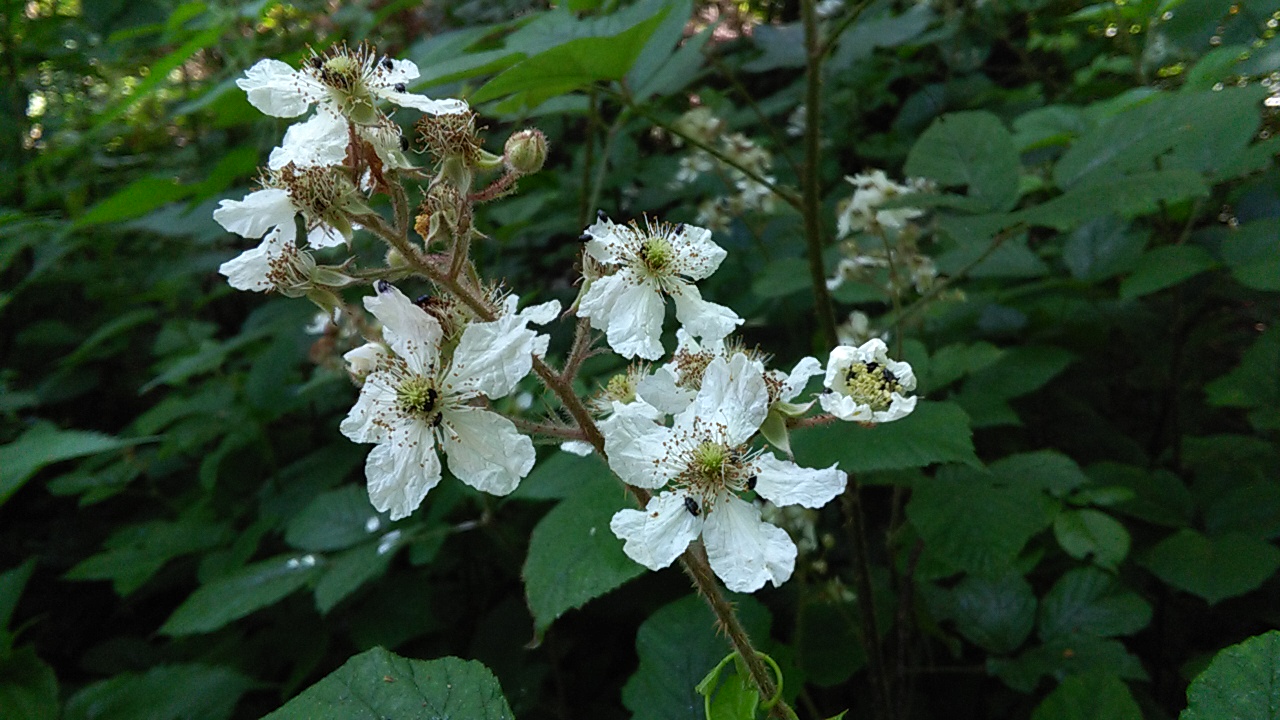 1_7_.jpg (1280×720)