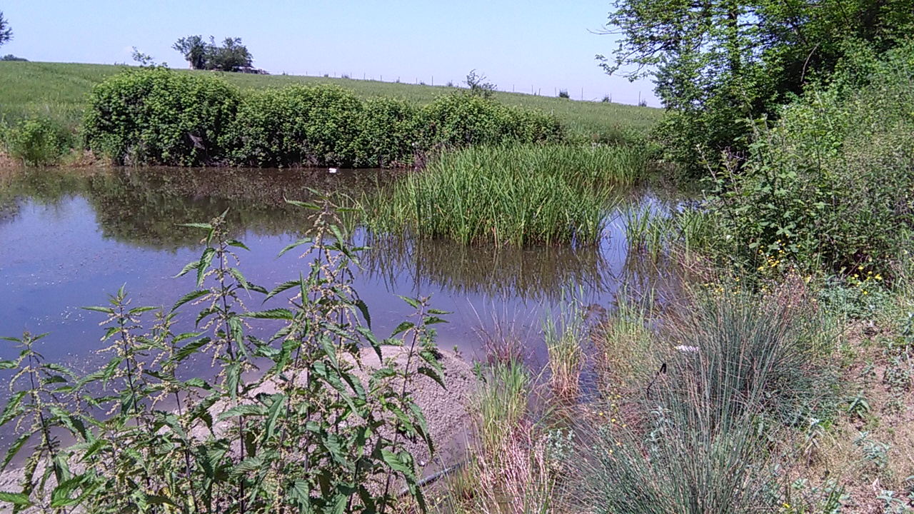 1_12_.jpg (1280×720)