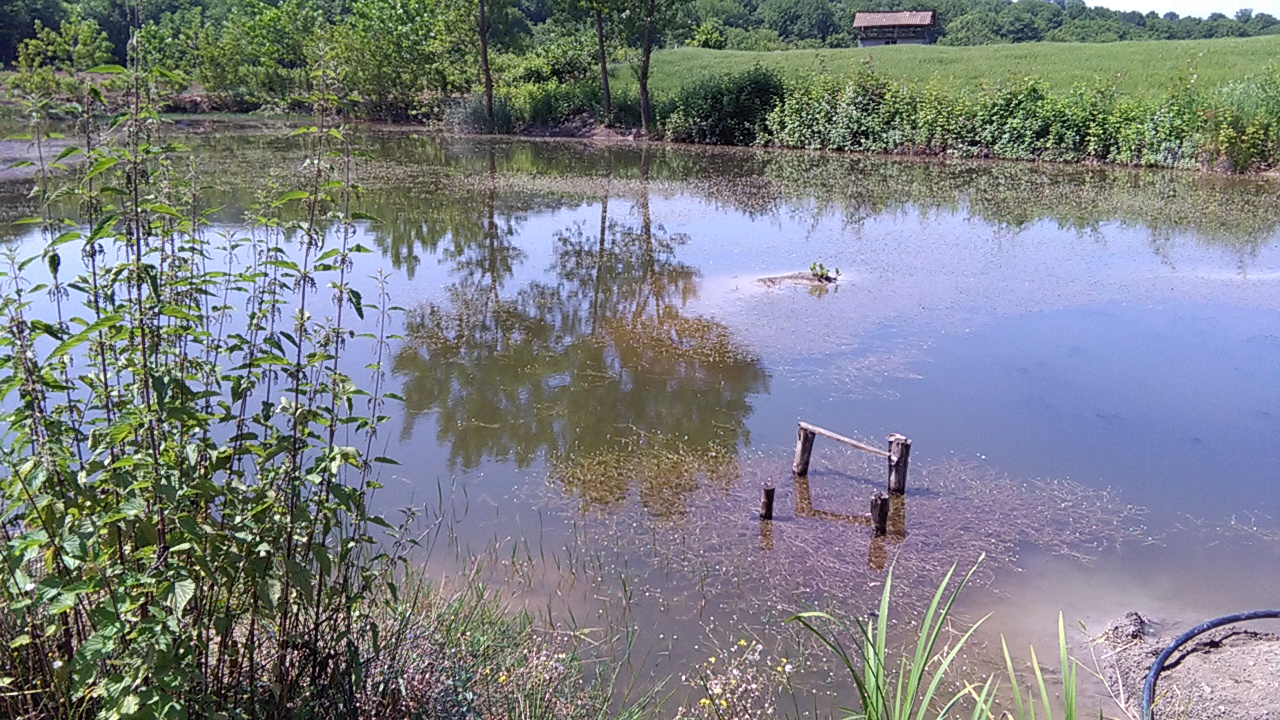 1_14_.jpg (1280×720)