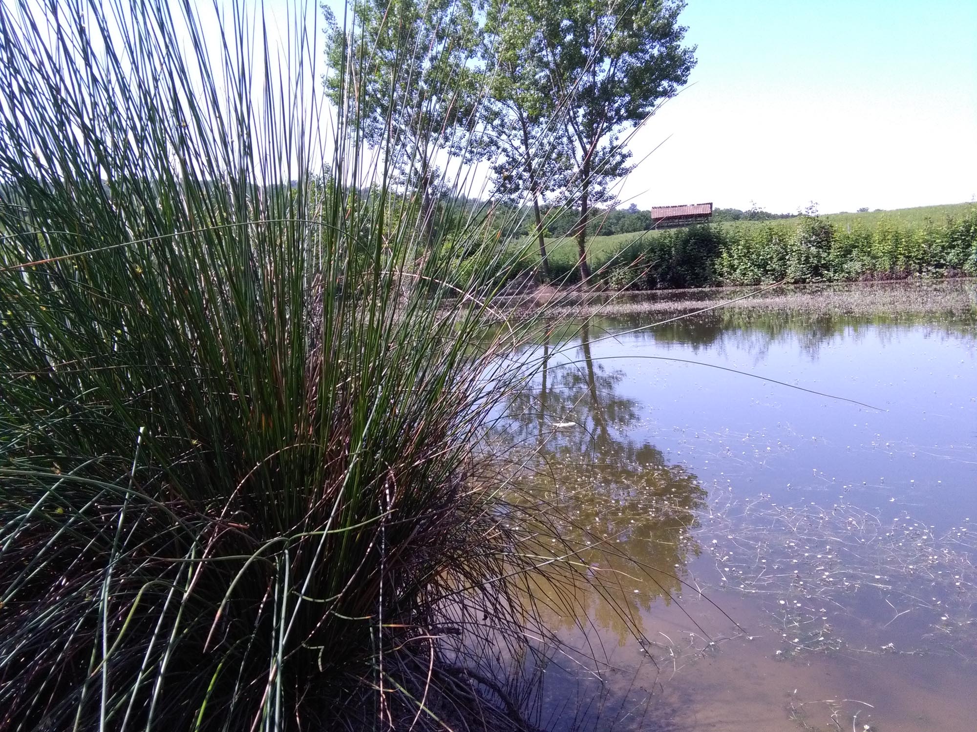 1_15_.jpg (2000×1500)