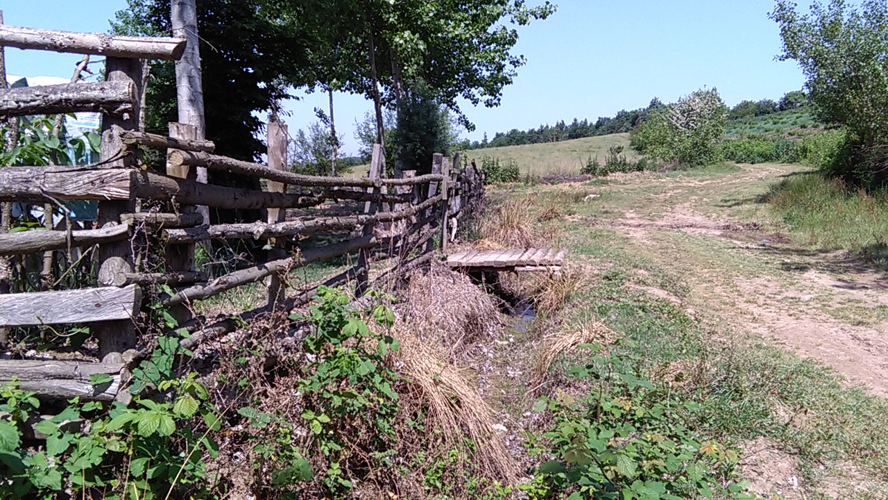 1_17_.jpg (1280×720)