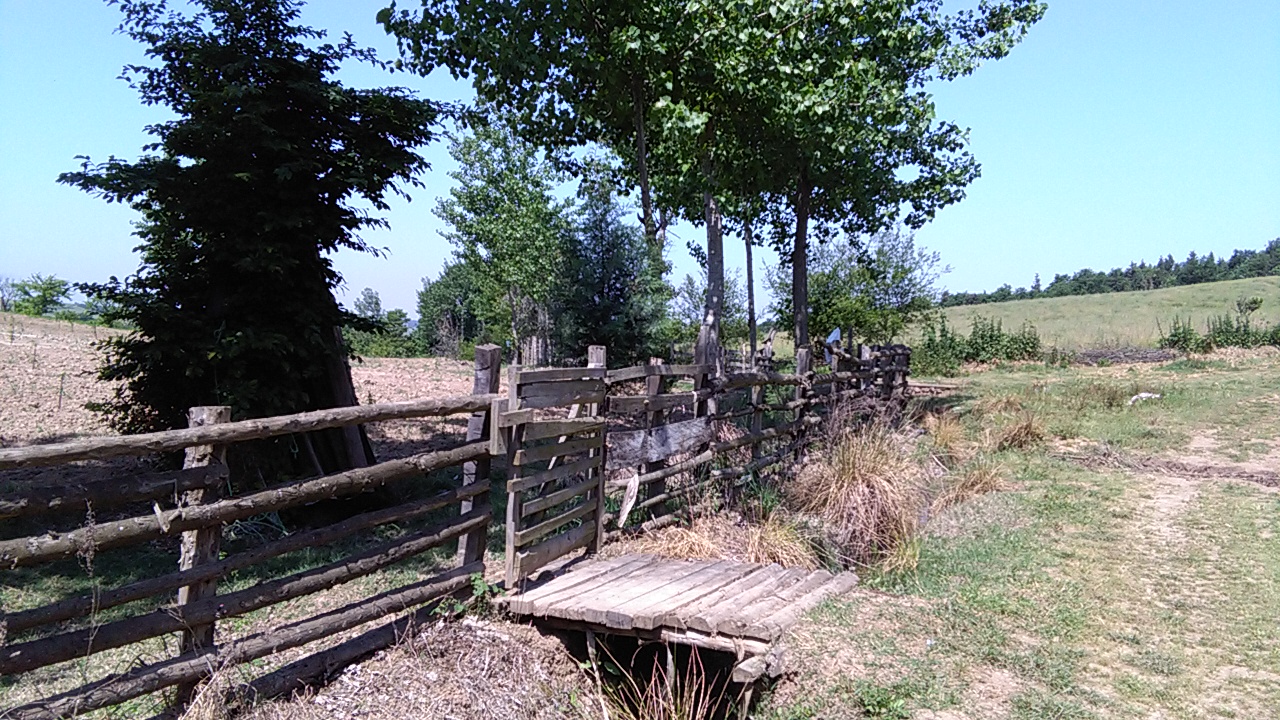 1_20_.jpg (1280×720)