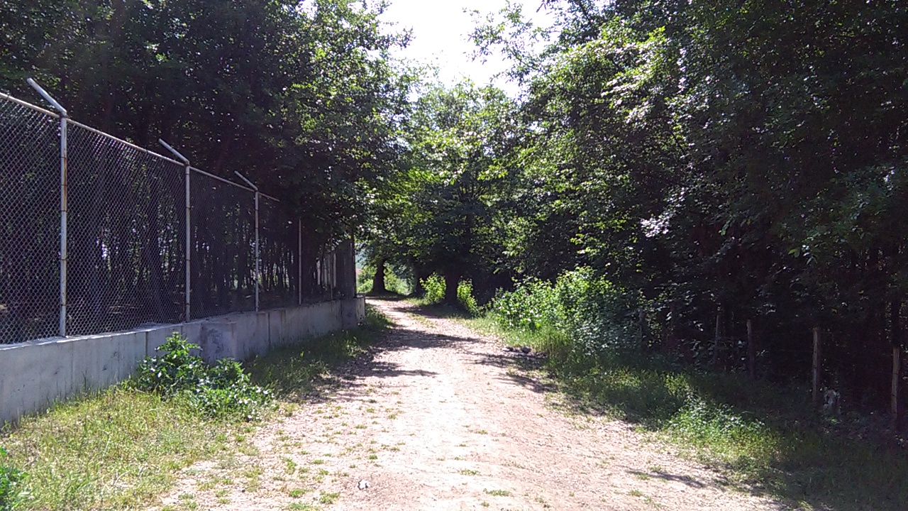 1_21_.jpg (1280×720)