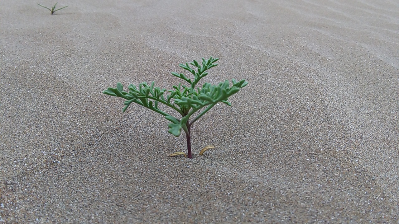 1_29_.jpg (1280×720)