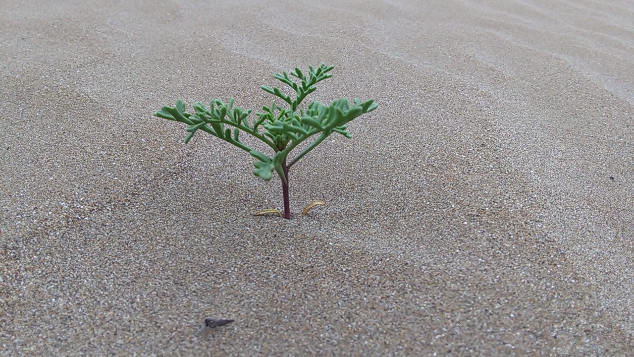 1_30_.jpg (1280×720)