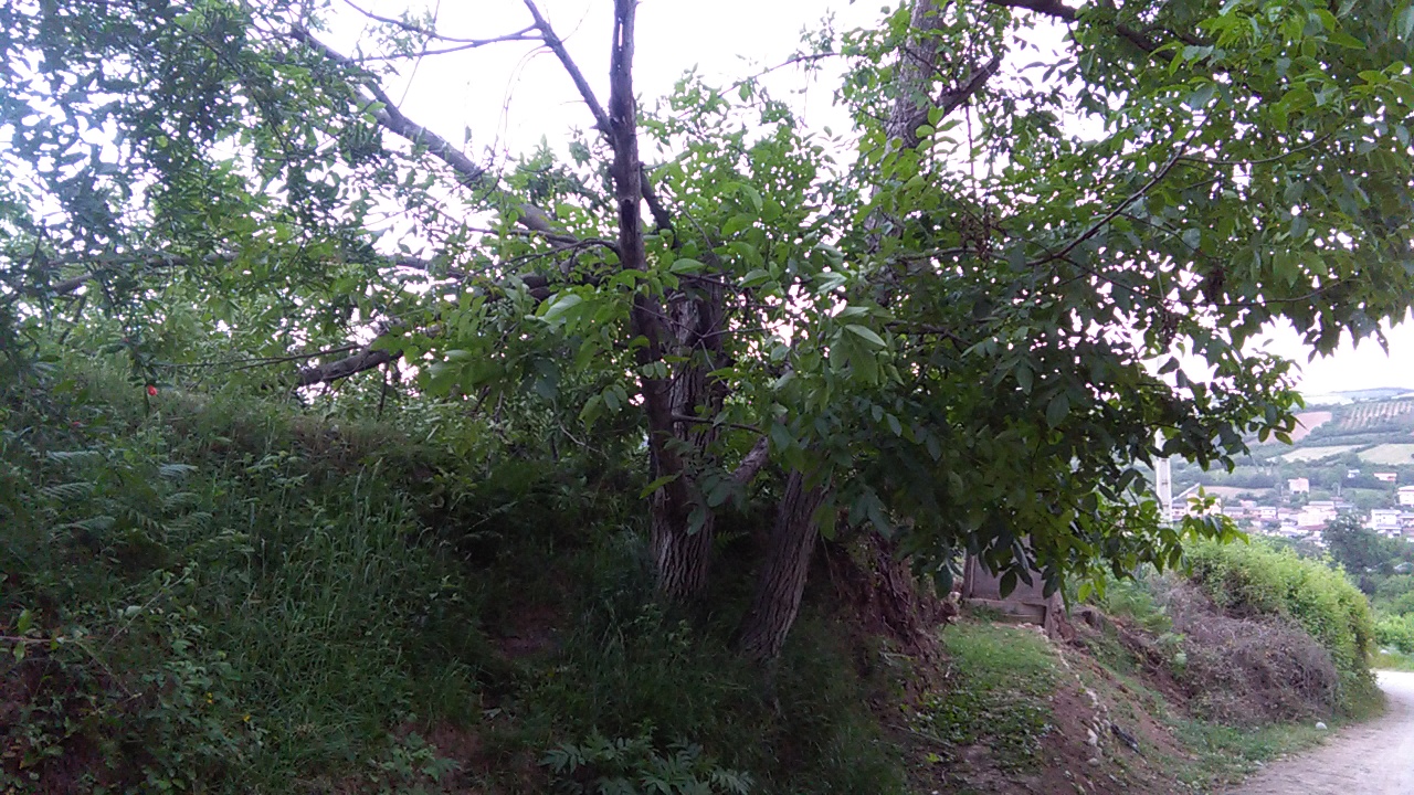 1_32_.jpg (1280×720)